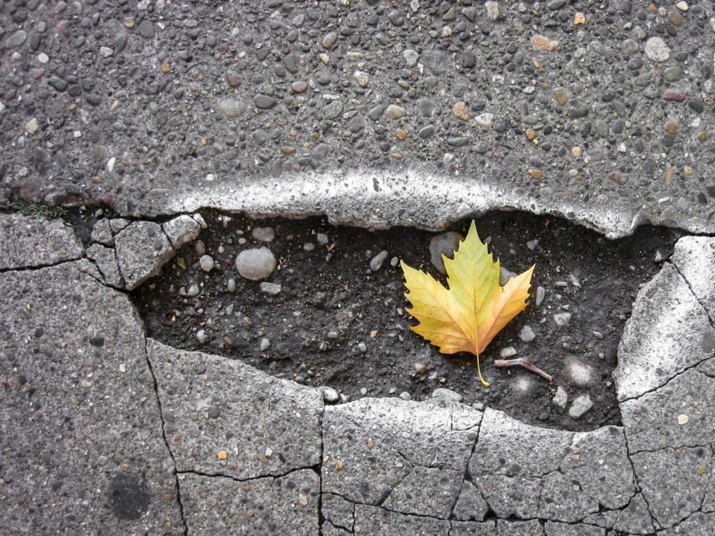 Pothole in the street with a maple leaf